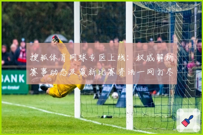 搜狐体育网球专区上线：权威解析赛事动态及最新比赛资讯一网打尽