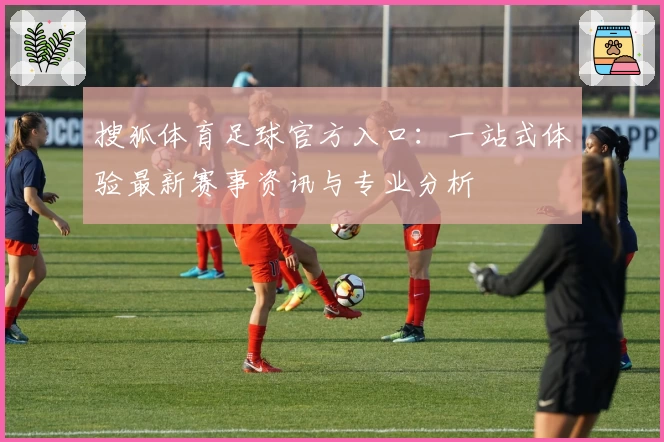搜狐体育足球官方入口：一站式体验最新赛事资讯与专业分析