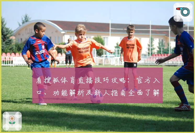 看搜狐体育直播技巧攻略：官方入口、功能解析及新人指南全面了解