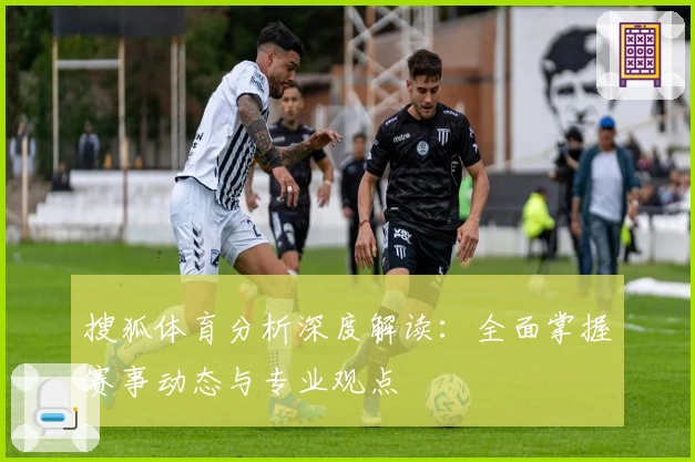 搜狐体育分析深度解读：全面掌握赛事动态与专业观点