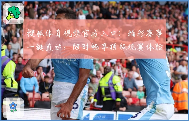 搜狐体育视频官方入口：精彩赛事一键直达，随时畅享顶级观赛体验
