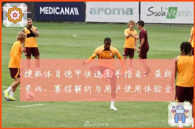 搜狐体育德甲快速上手指南：最新资讯、赛程解析与用户使用体验全揭秘