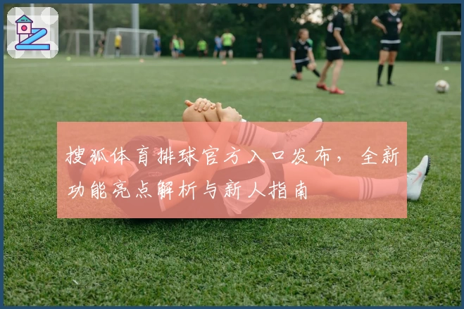 搜狐体育排球官方入口发布，全新功能亮点解析与新人指南