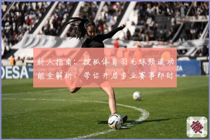 新人指南:搜狐体育羽毛球频道功能全解析,带你开启专业赛事即时追踪之旅