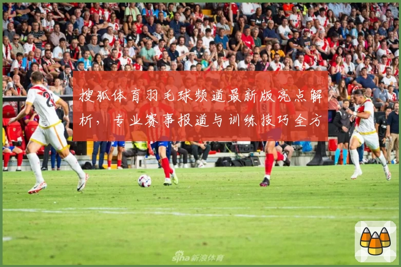 搜狐体育羽毛球频道最新版亮点解析，专业赛事报道与训练技巧全方位体验