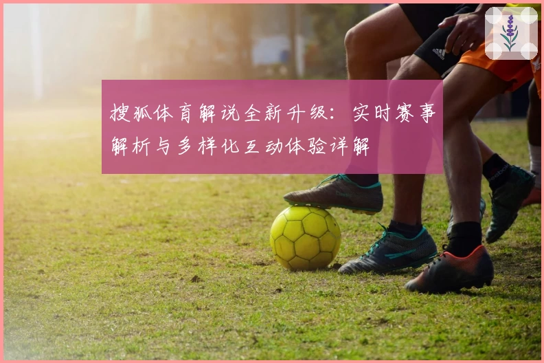搜狐体育解说全新升级：实时赛事解析与多样化互动体验详解