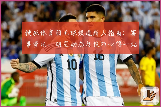 搜狐体育羽毛球频道新人指南：赛事资讯、明星动态与技巧心得一站式获取