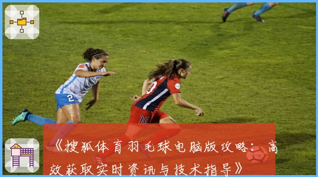 《搜狐体育羽毛球电脑版攻略：高效获取实时资讯与技术指导》